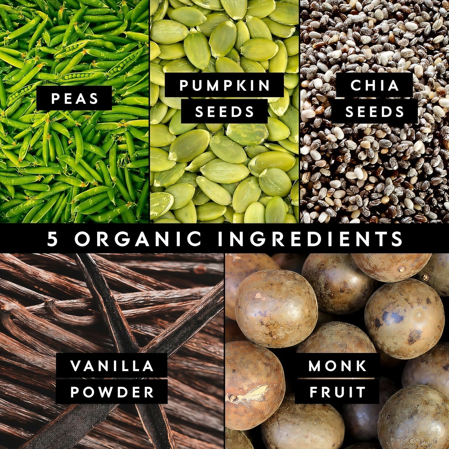 Truvani Organic Plant Based Protein Powder